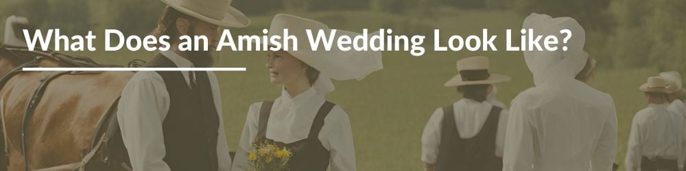 02-what-does-an-amish-wedding-look-like